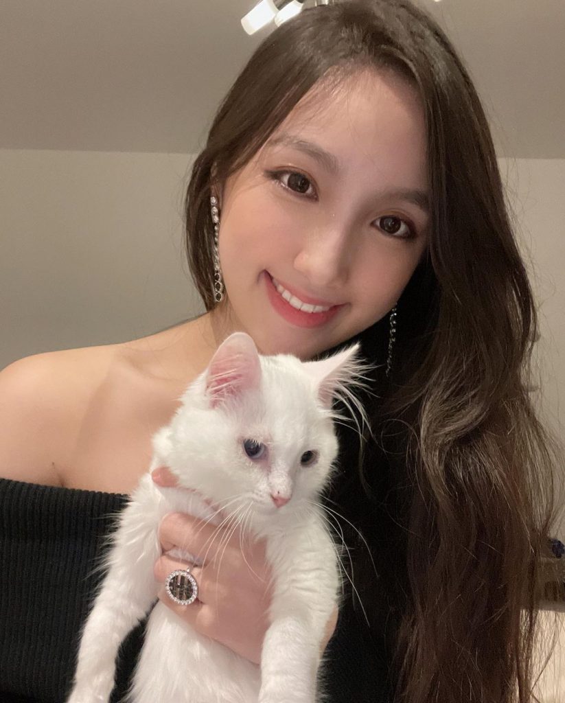 编号MT28 #香港 适合虚拟视频 曝光量低 生活日常素材 自拍多 旅游 开车视频 弹钢琴 1001照片+133视频（可更新）-套图社区-素材第一站